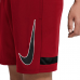 Vyriški Šortai Nike Dri-FIT Academy Raudona CV1467 687